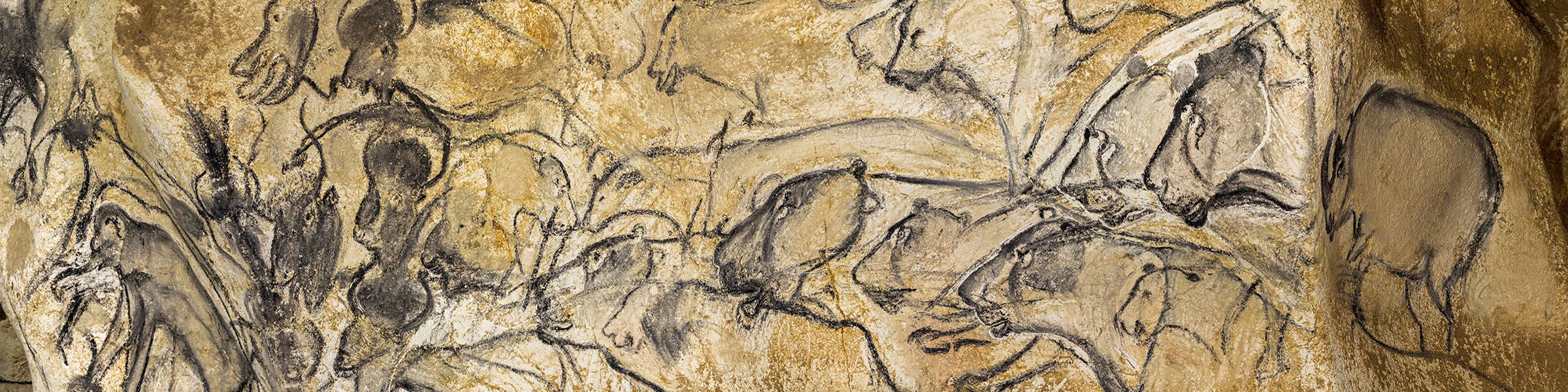 Le panneau des Lions de la salle du fond de la grotte Chauvet. Photo : Arnaud Frich.